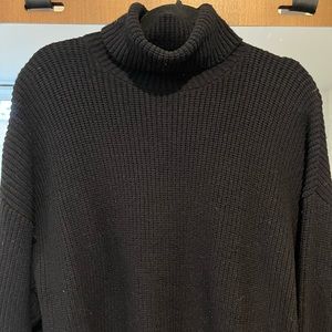 Zara Knit Turtleneck